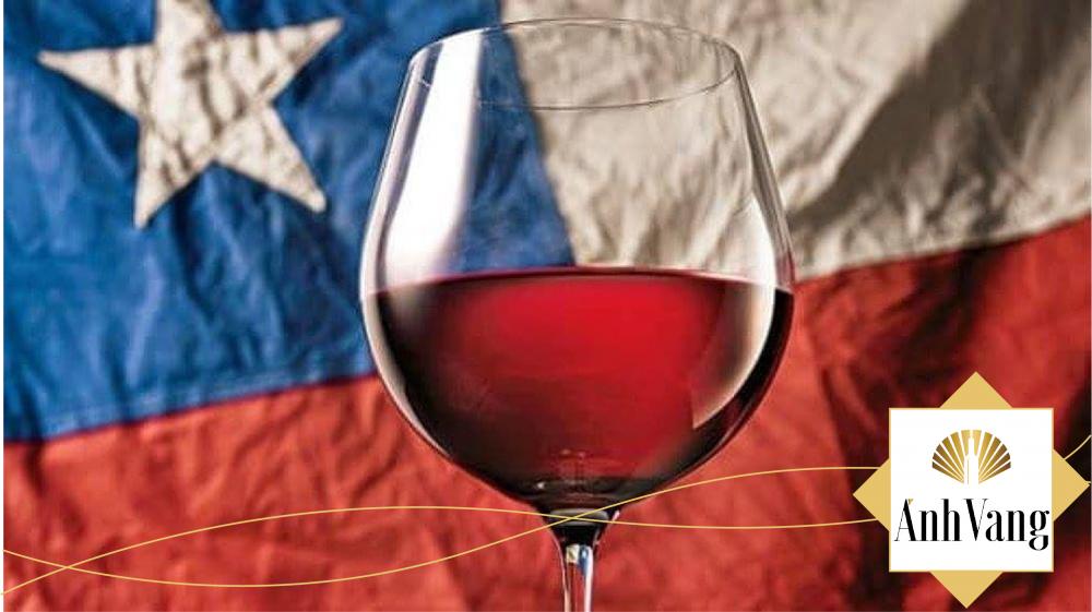 Sự độc đáo của Rượu vang Chile nhập khẩu